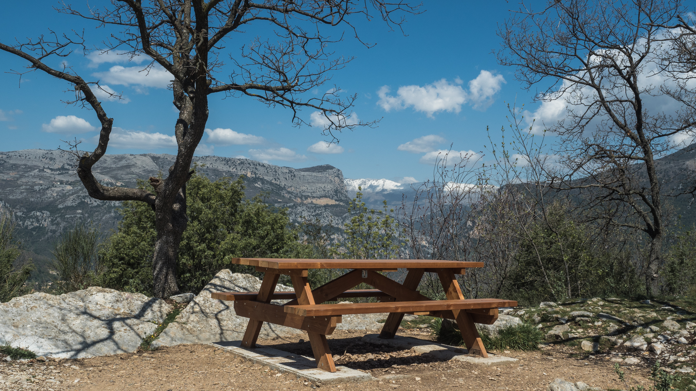 Bench with a view